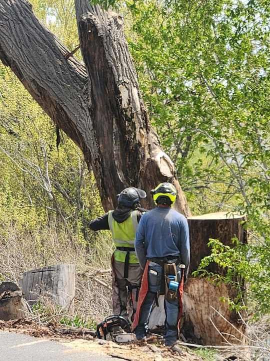 An owner standing with the chipper after a job