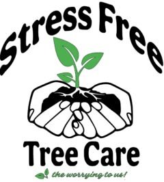 Stress Free Tree Care